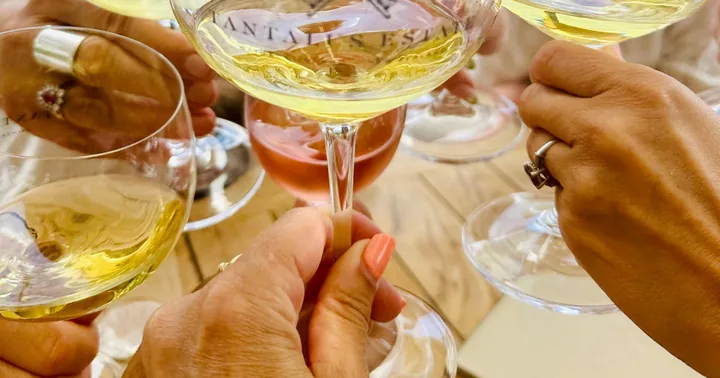 From Auckland: Waiheke Island Wineries&rsquo; Tour
