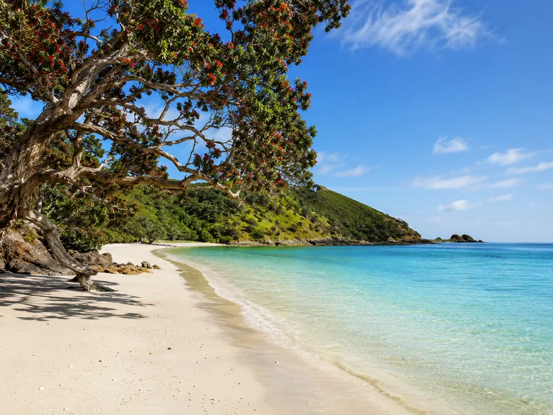 A sheltered Waiheke bay within walking distance of a village